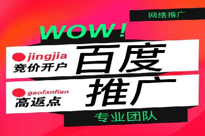 百度SEO推广公司案例剖析：助力企业提升排名